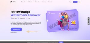 Hitpaw watermark remover