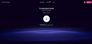 MetaVoice Studio