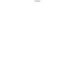 Sassbook AI Summarizer
