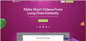 Vidyo.ai